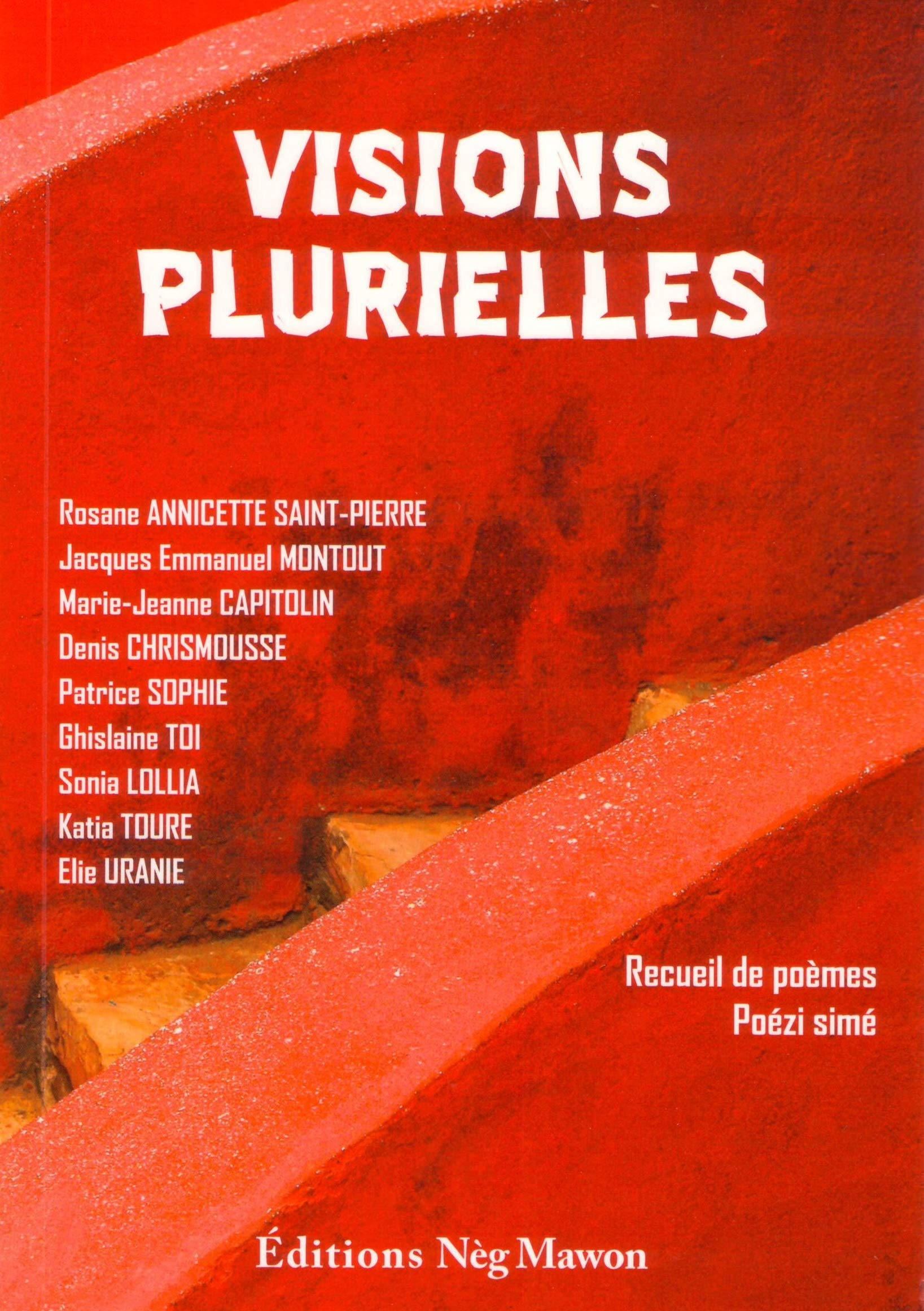Visions plurielles