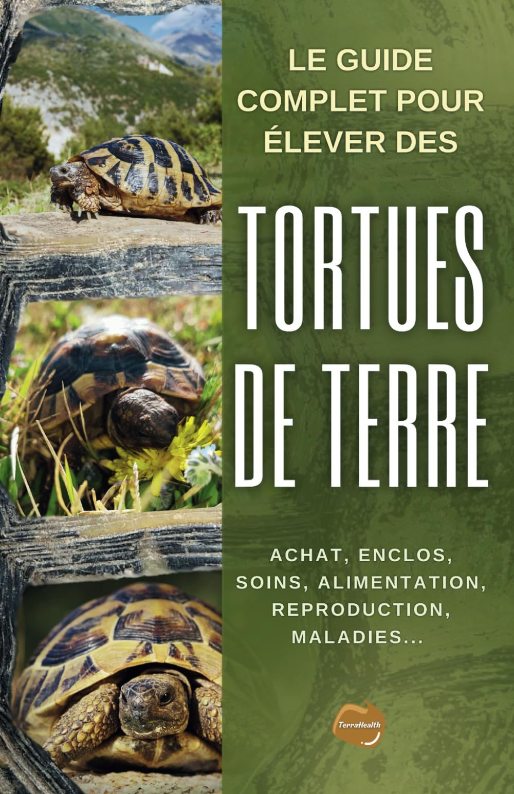 Tortues de terre: Focus sur la tortue d'Hermann et les autres espèces de tortues terrestres du genre