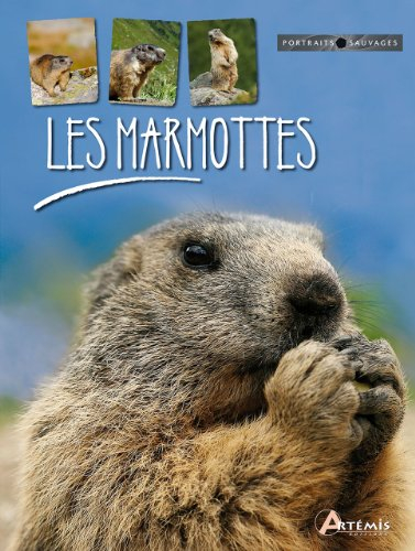 Les marmottes