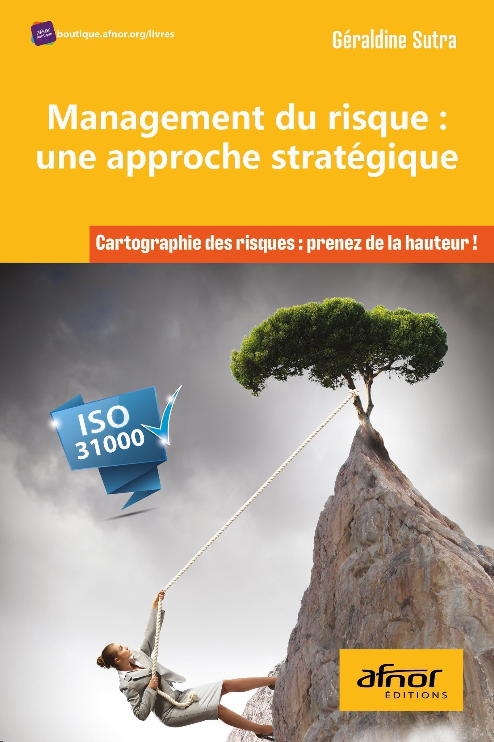Management du risque, une approche stratégique : cartographie des risques, prenez de la hauteur ! : 