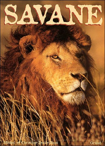 Le Sahara