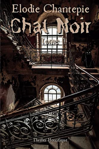 Chat noir