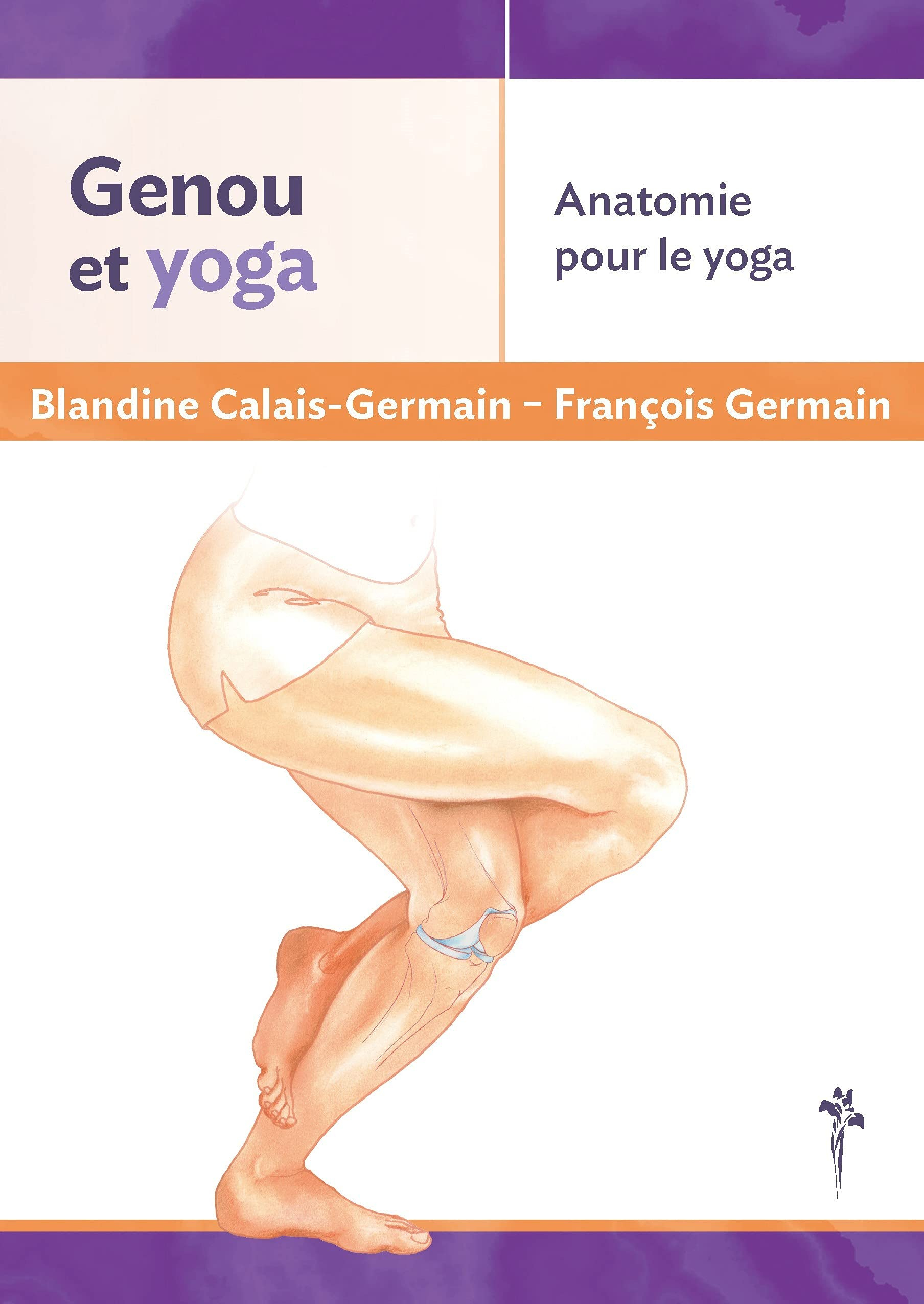 Genou et yoga : anatomie pour le yoga
