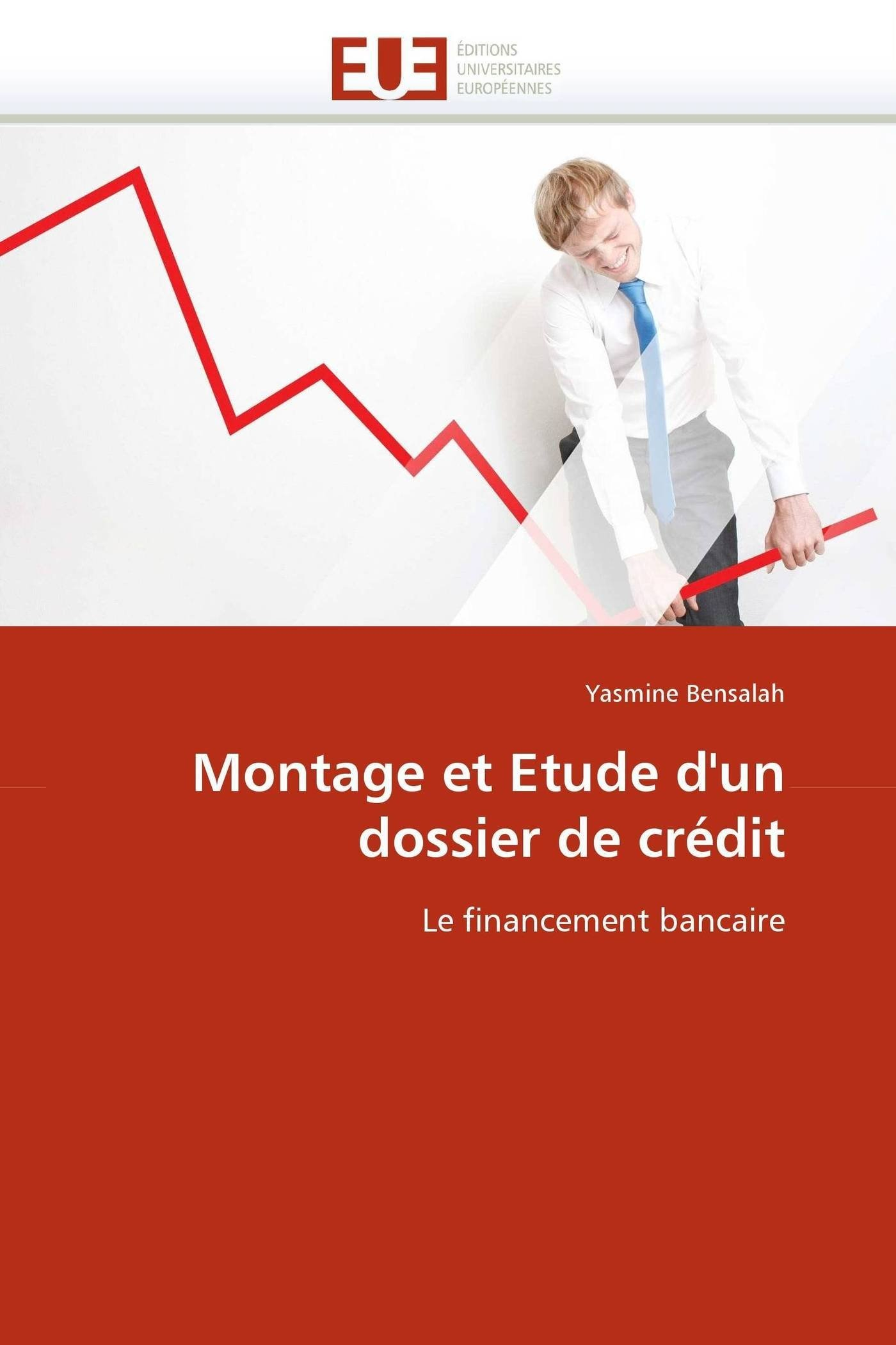 Montage et etude d''un dossier de crédit