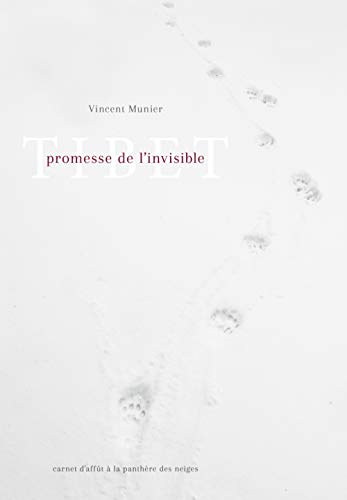 Tibet, promesse de l'invisible : carnet d'affût à la panthère des neiges