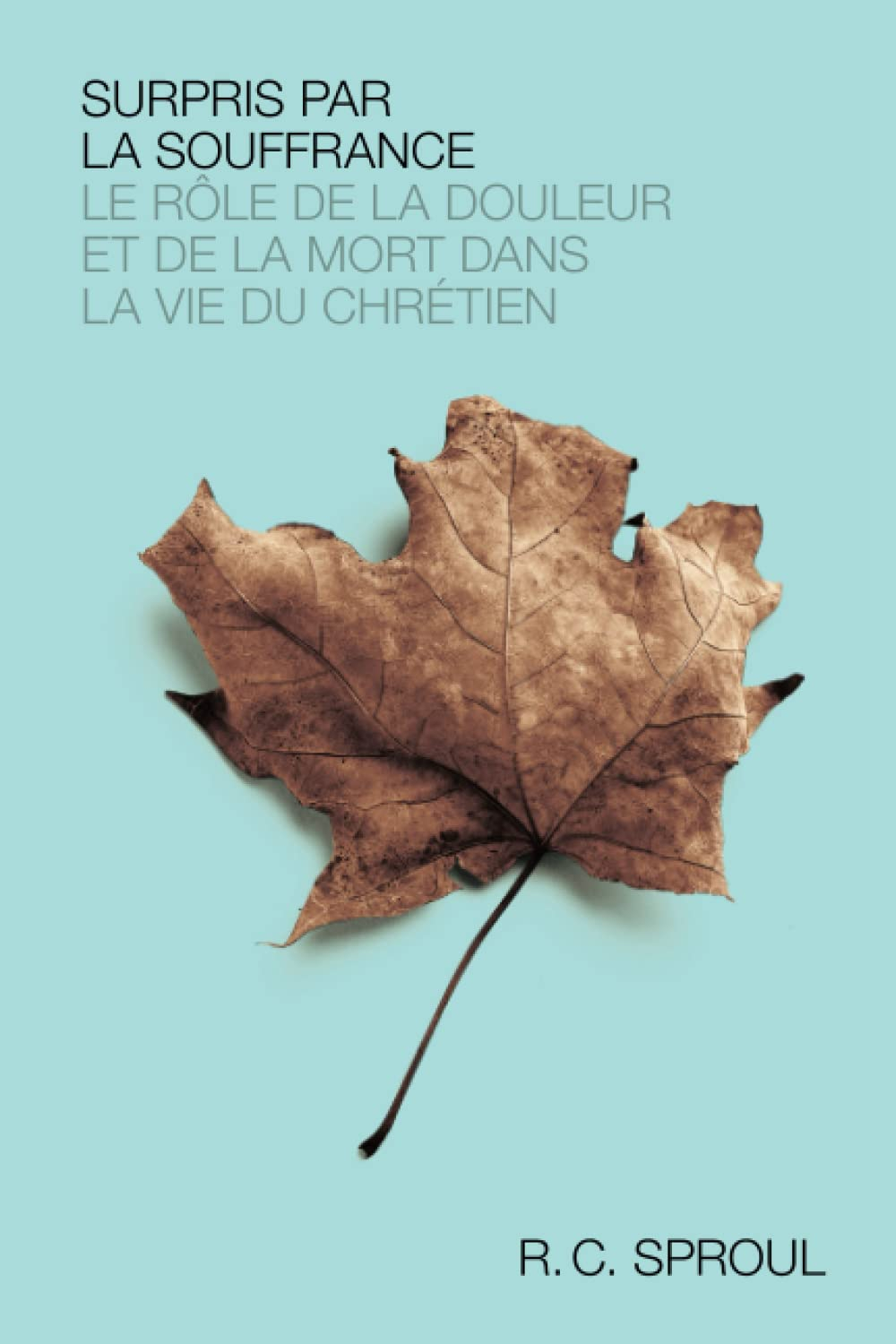 Surpris par la souffrance: Le rôle de la douleur et de la mort dans la vie du chrétien