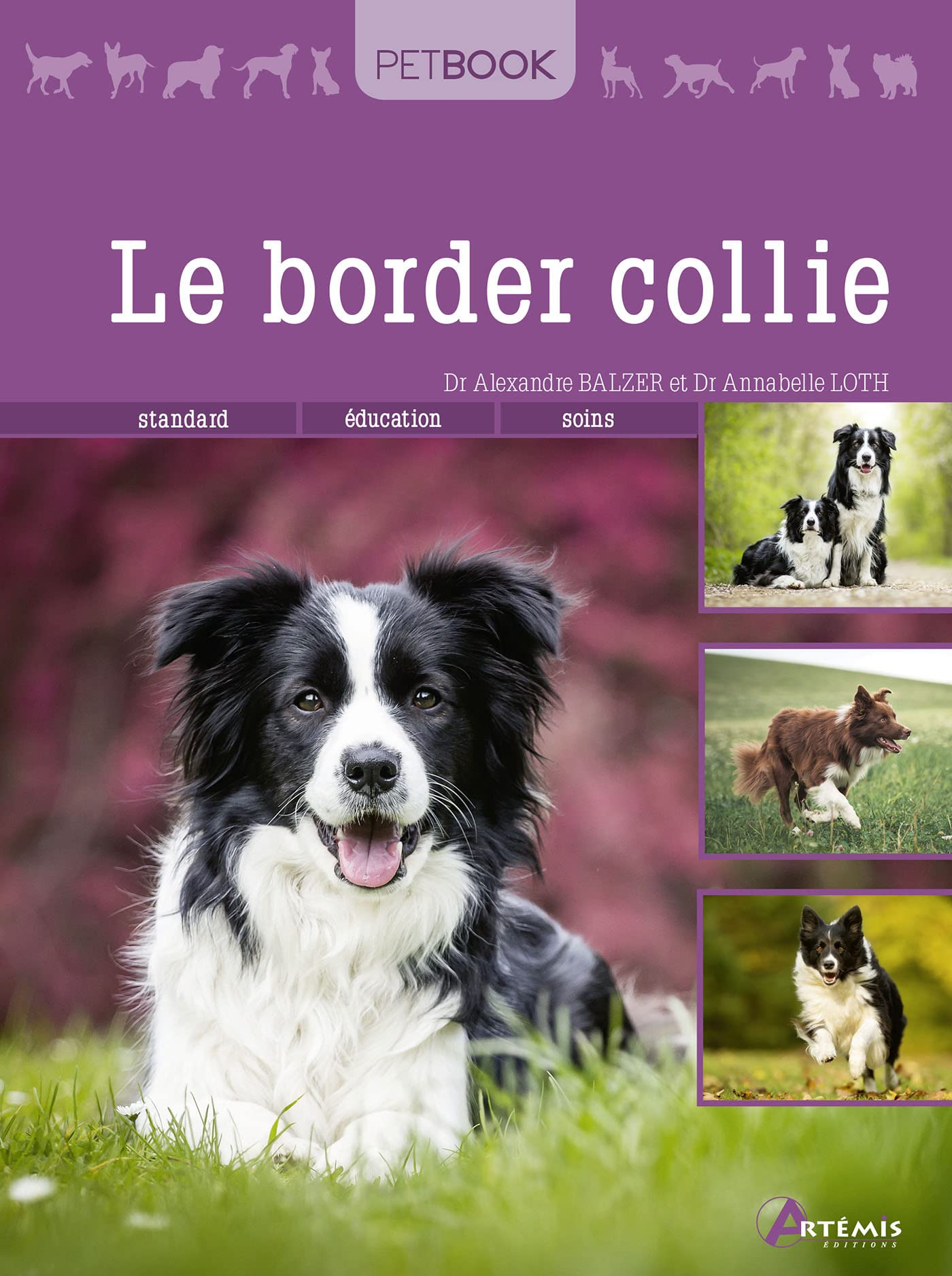 Le border collie