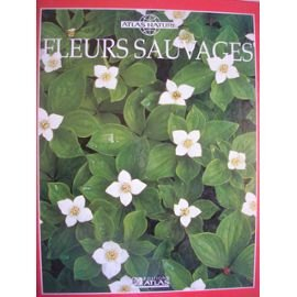 fleurs sauvages