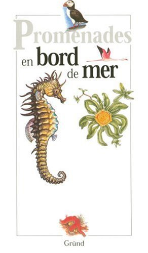En bord de mer