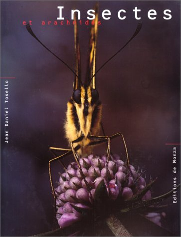 Les insectes et arachnides