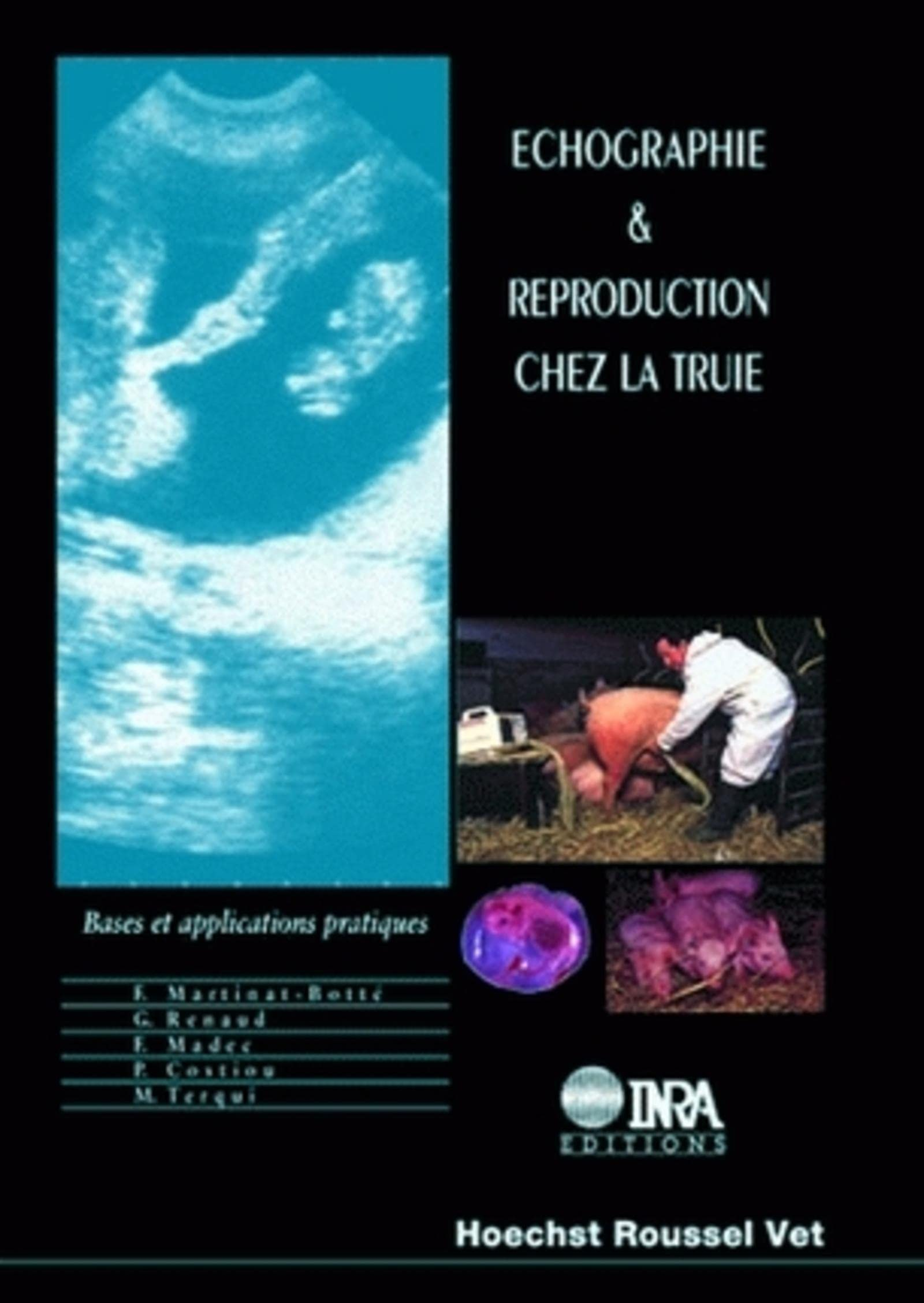 Echographie et reproduction chez la truie : bases et applications pratiques