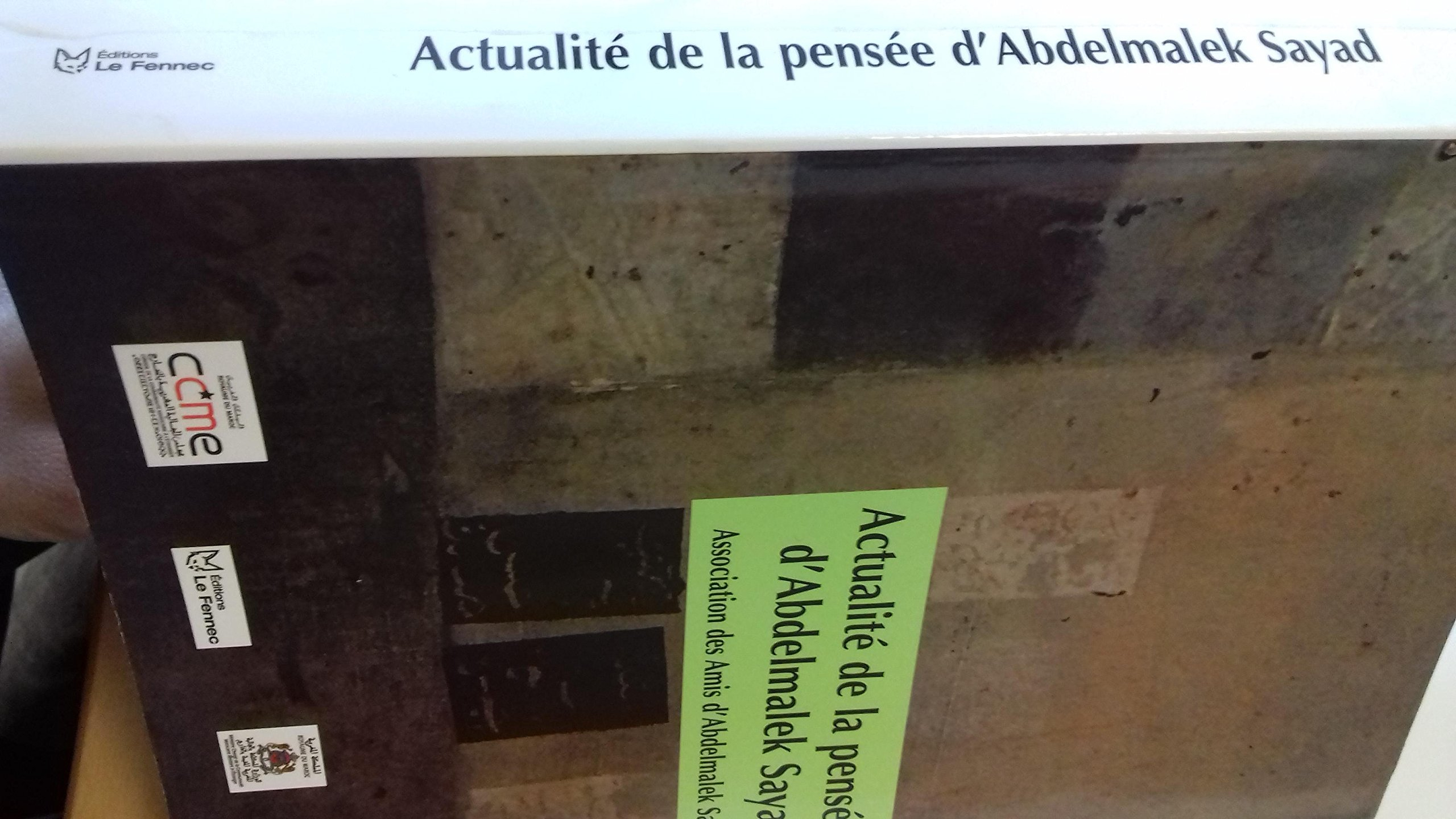 Actualité de la pensée d'Abdelmalek Sayad: Actes du colloque international 15 et 16 juin 2006