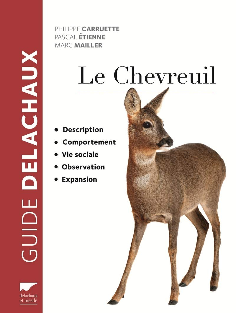 Le chevreuil : description, comportement, vie sociale, observation, expansion