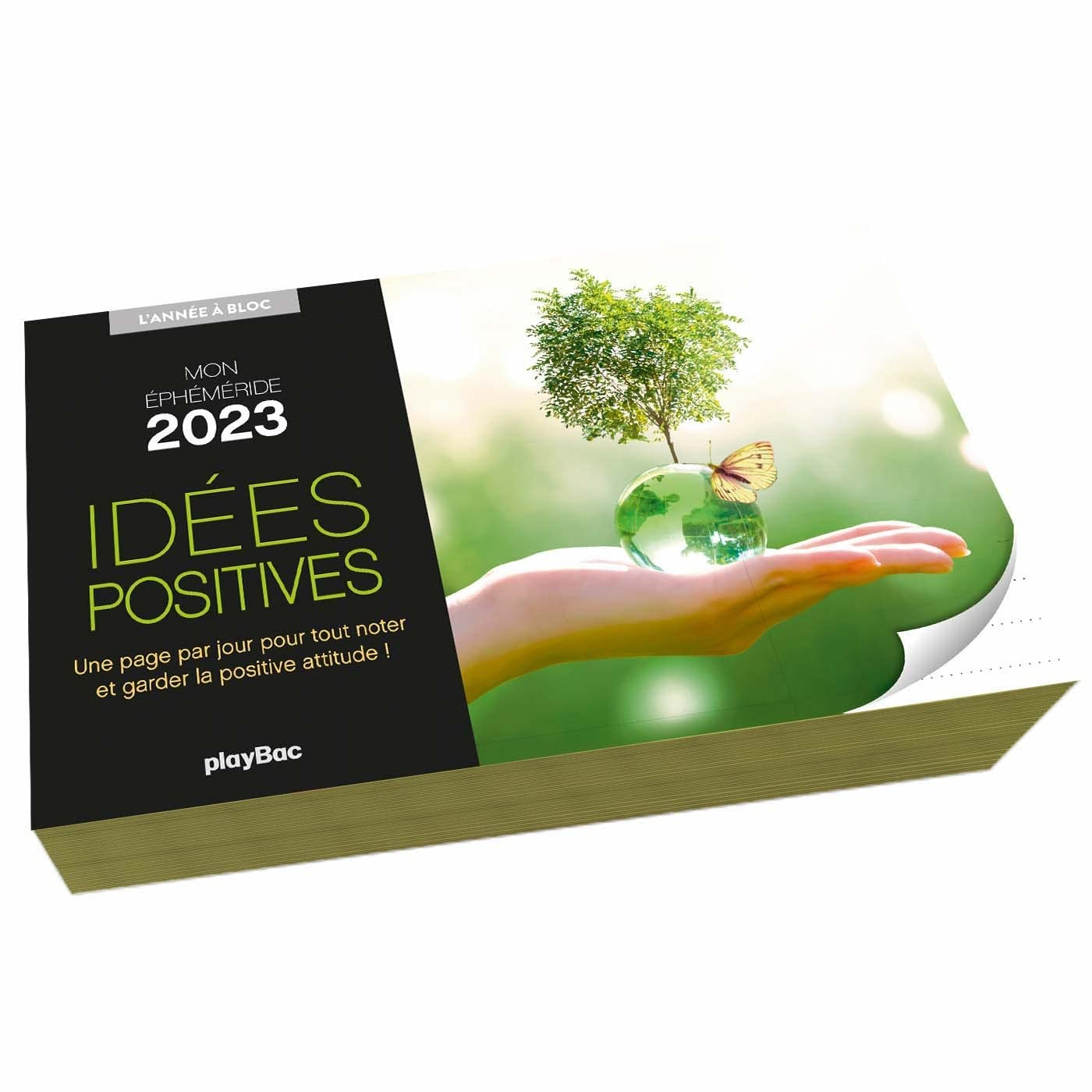 Idées positives : mon éphéméride 2023 : une page par jour pour tout noter et garder la positive atti