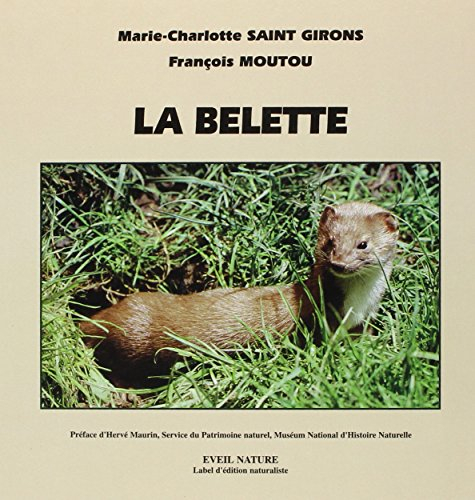 La belette