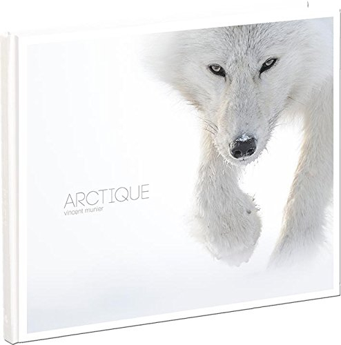 arctique