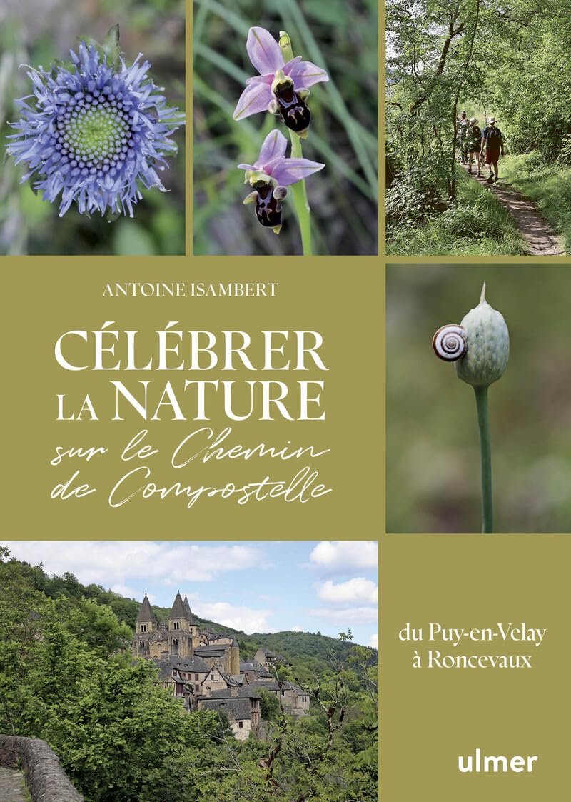 Célébrer la nature sur le chemin de Compostelle : du Puy-en-Velay à Roncevaux