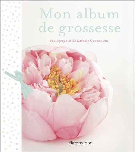 Mon album de grossesse