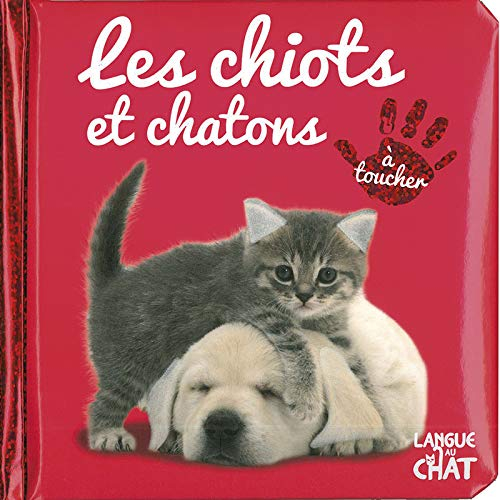 Chiots et chatons : à toucher