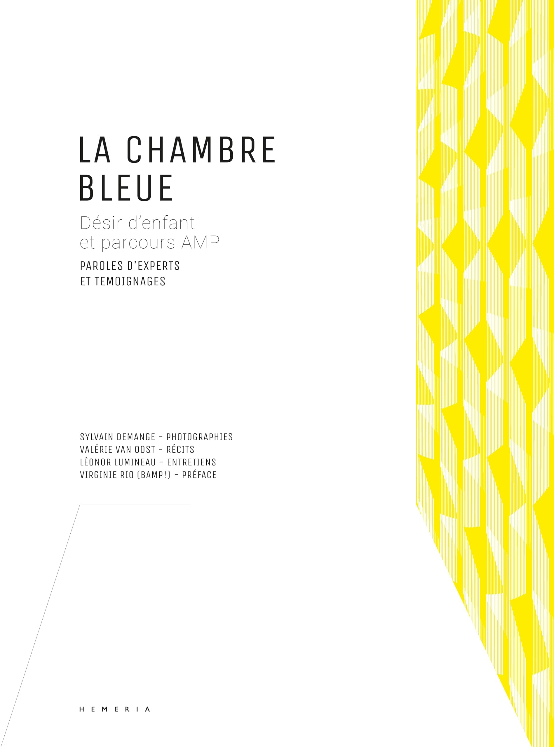 La chambre bleue : désir d'enfant et parcours AMP : paroles d'experts et témoignages