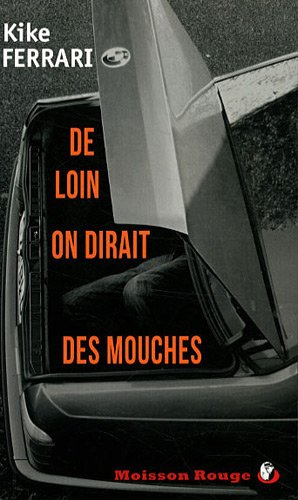 de loin on dirait des mouches