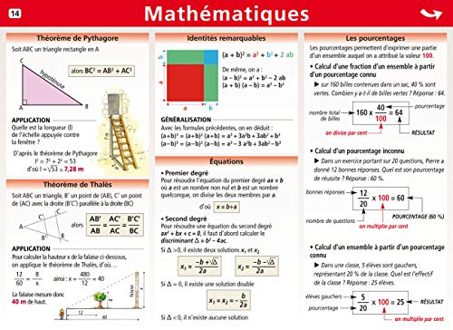 Pourcentages, surfaces et volumes