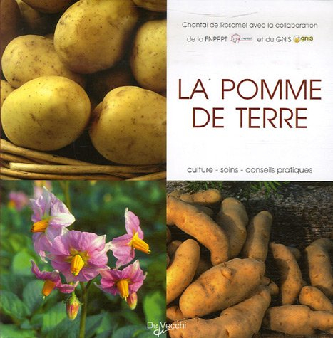 La pomme de terre : culture, soins, conseils pratiques