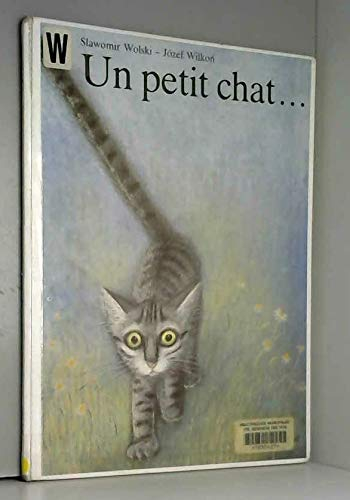 Un Petit chat