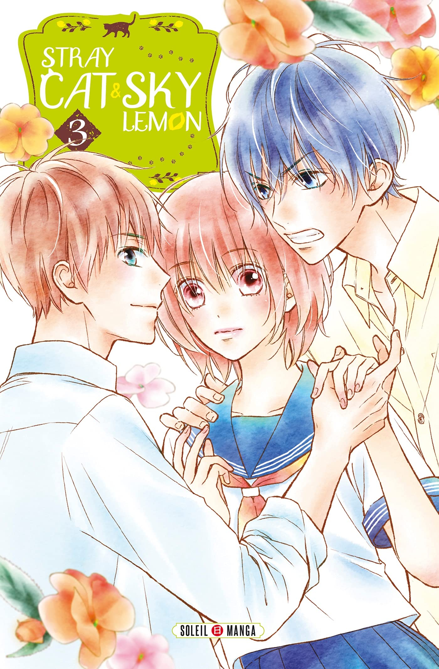 Stray cat & sky lemon. Vol. 3