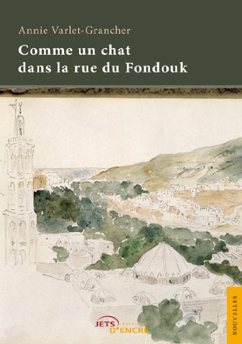comme un chat dans la rue du fondouk