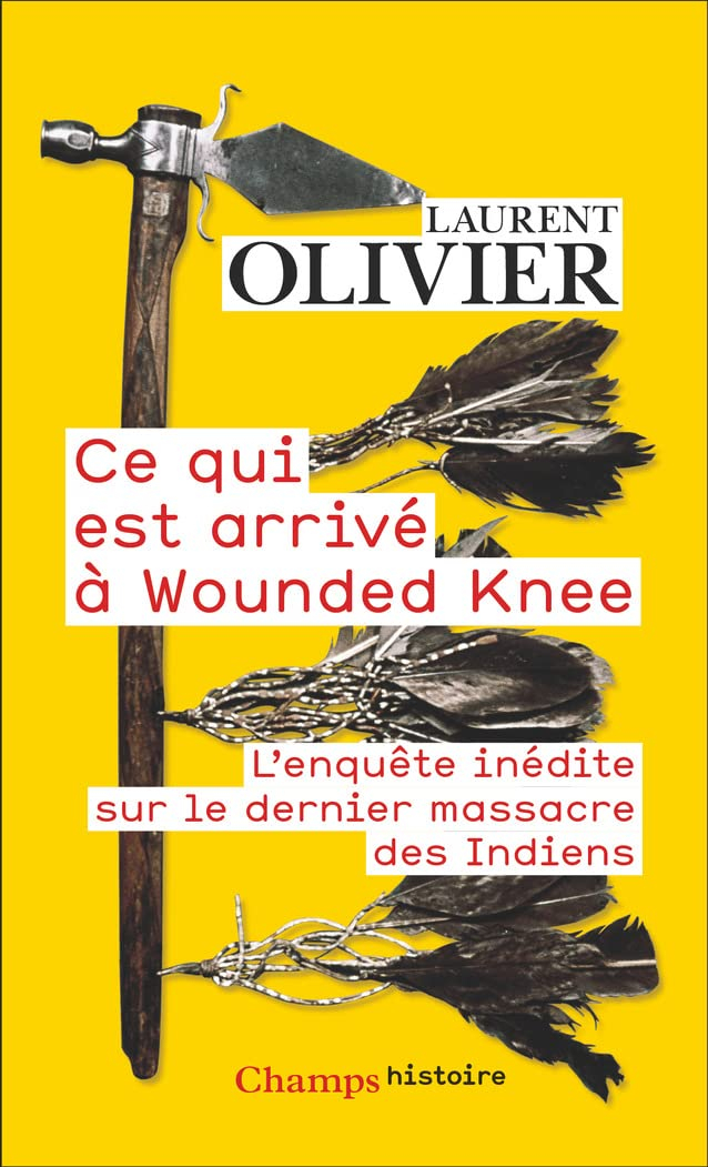 Ce qui est arrivé à Wounded Knee : l'enquête inédite sur le dernier massacre des Indiens : 29 décemb