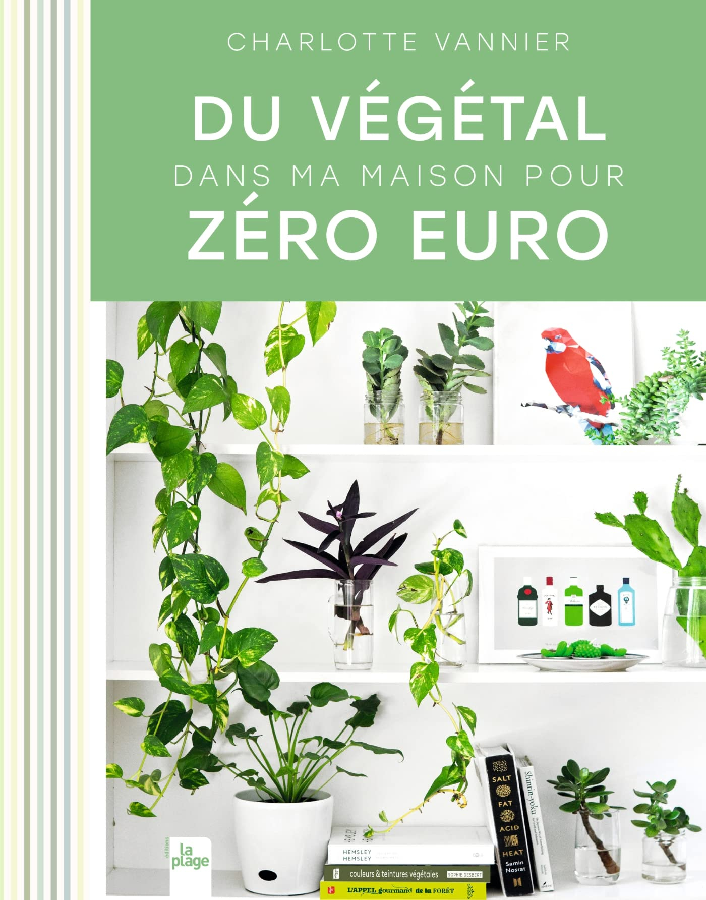Du végétal dans ma maison pour zéro euro