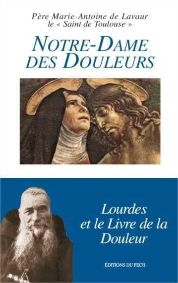 Notre-Dame des douleurs : Lourdes et le livre de la douleur