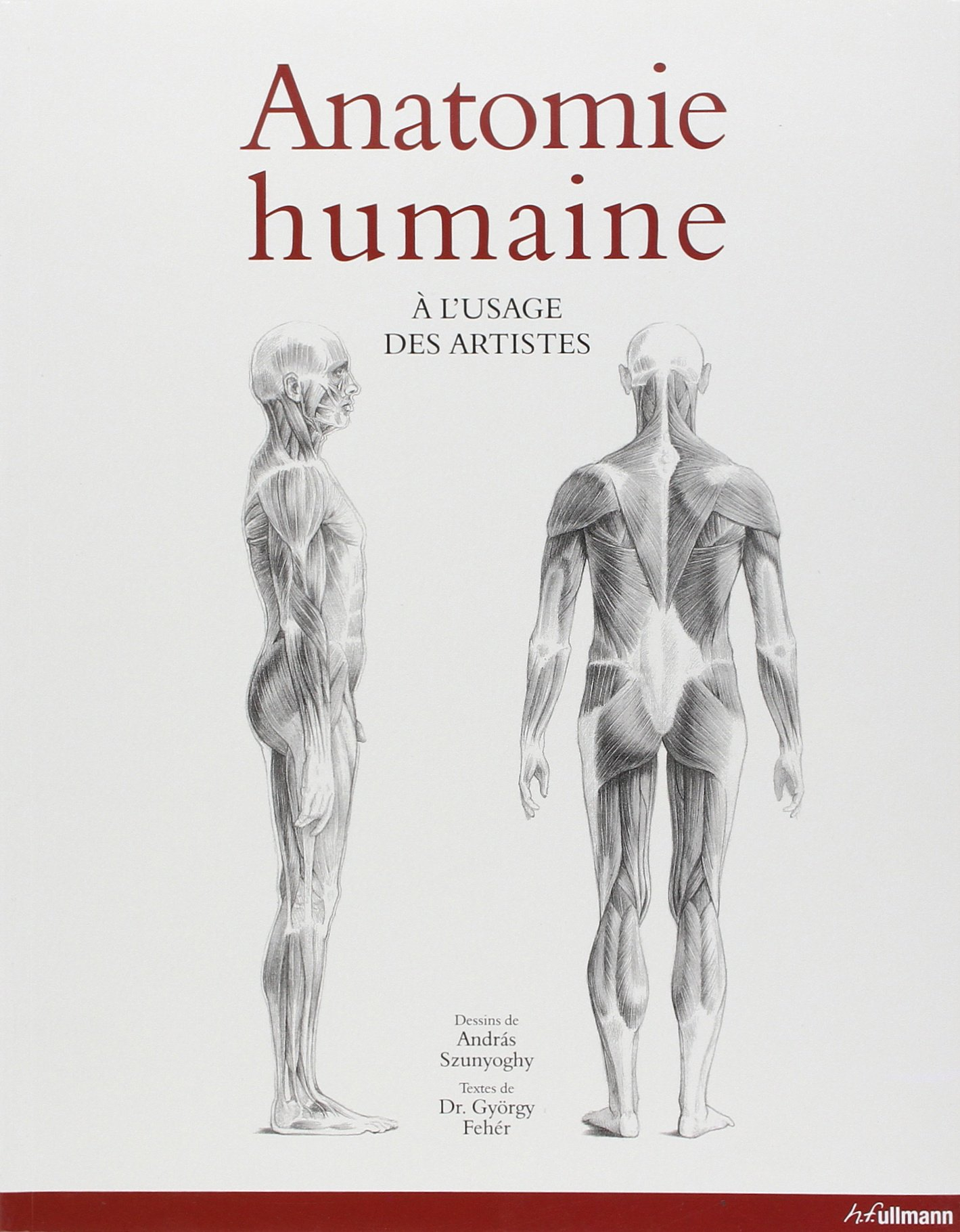 Anatomie humaine : à l'usage des artistes