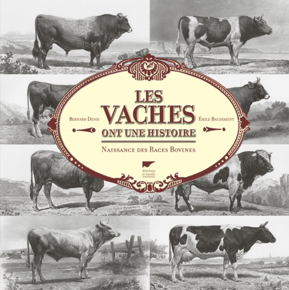 Les vaches ont une histoire : naissance des races bovines