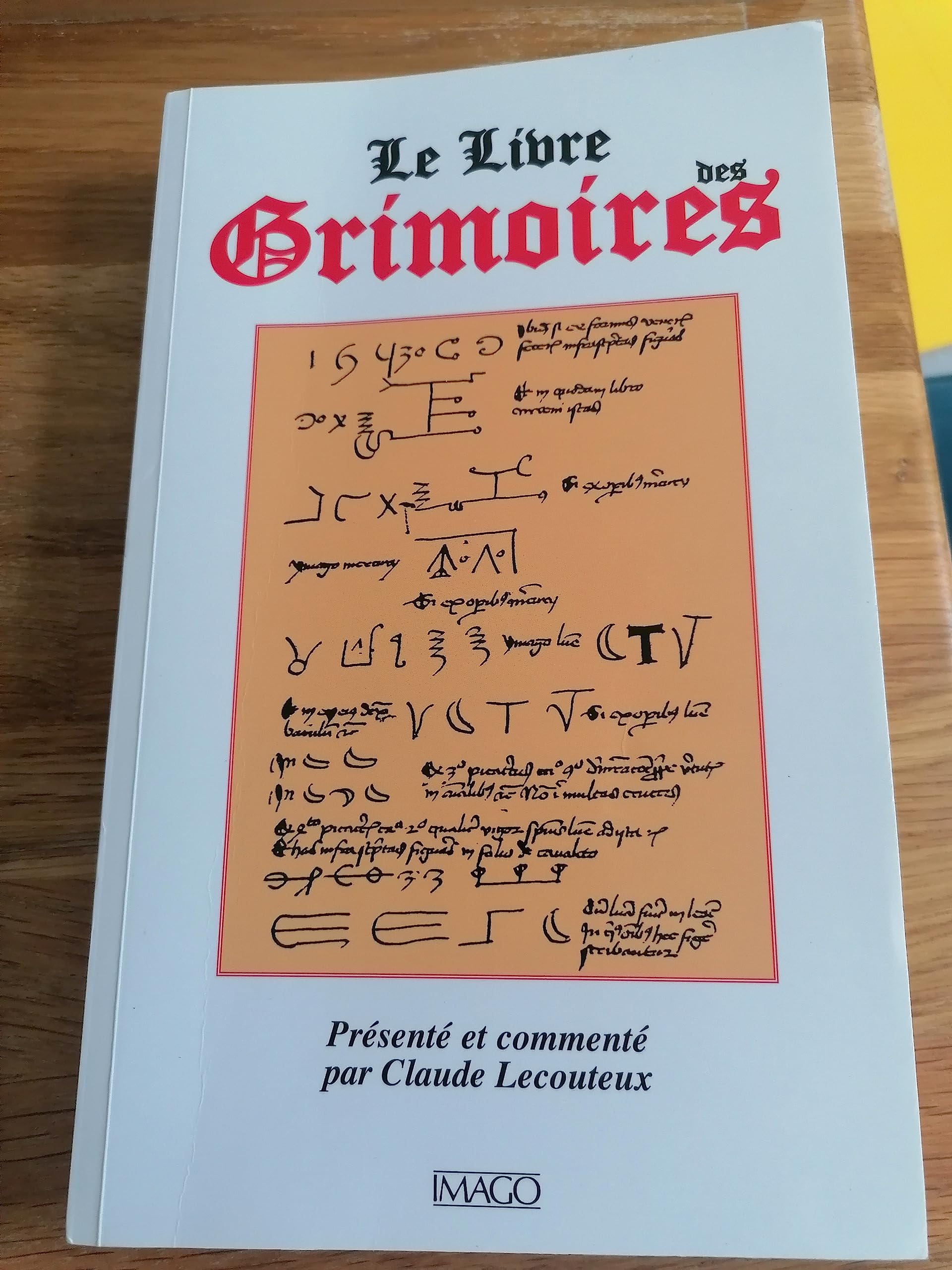 Le livre des grimoires : de la magie au Moyen Age
