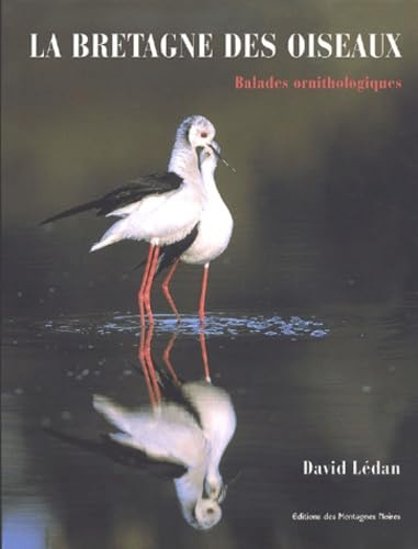 La Bretagne des oiseaux : balades ornithologiques