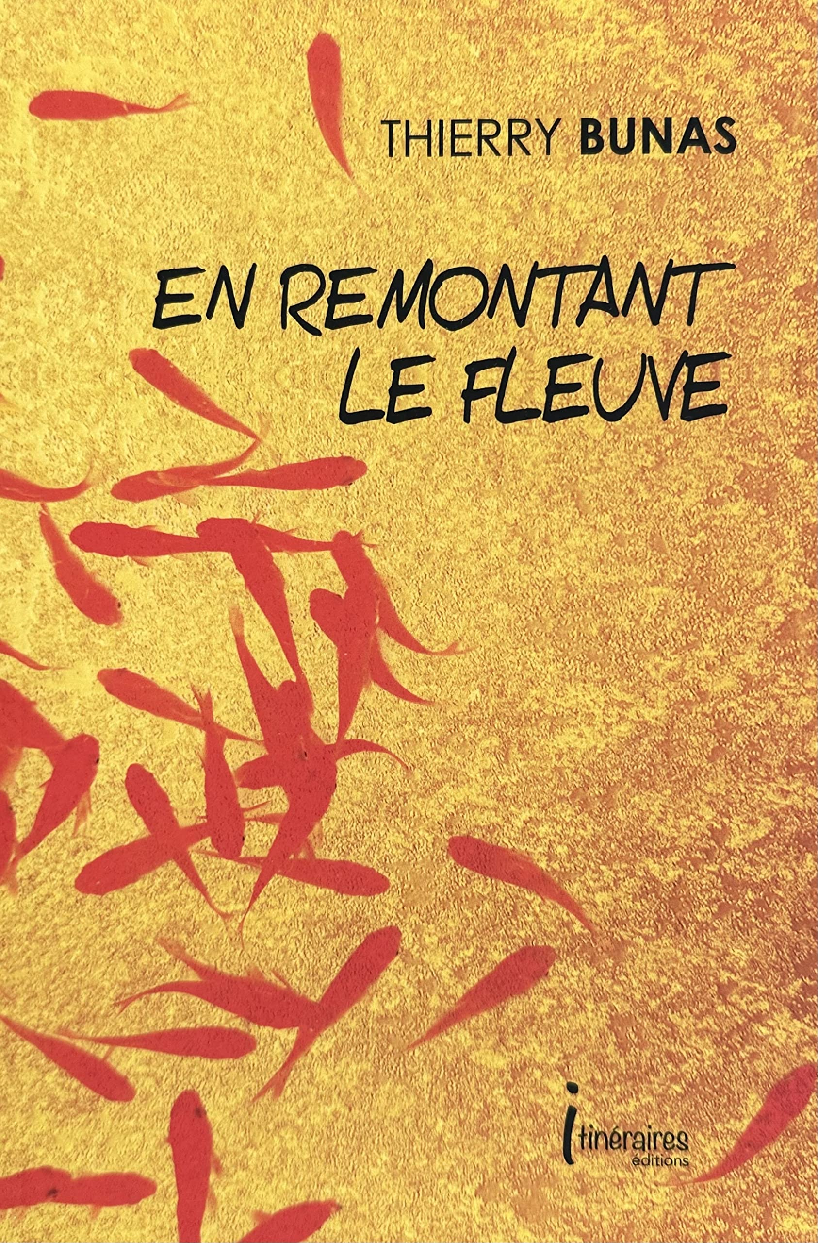 En remontant le fleuve