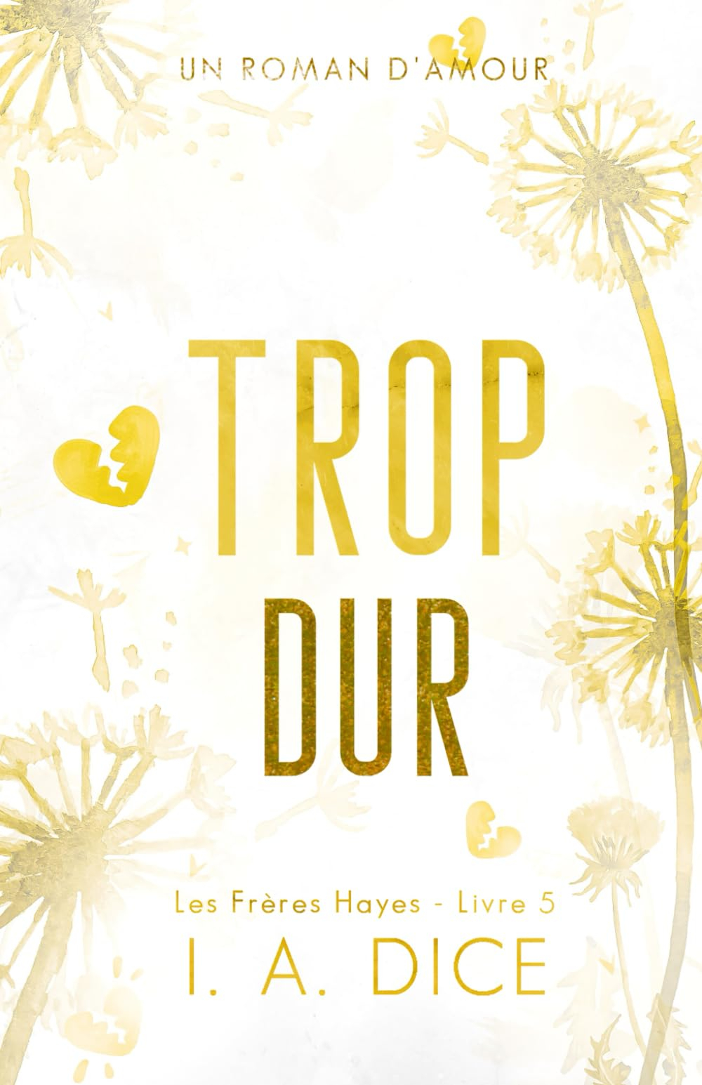 Trop dur: Les Frères Hayes - Livre 5