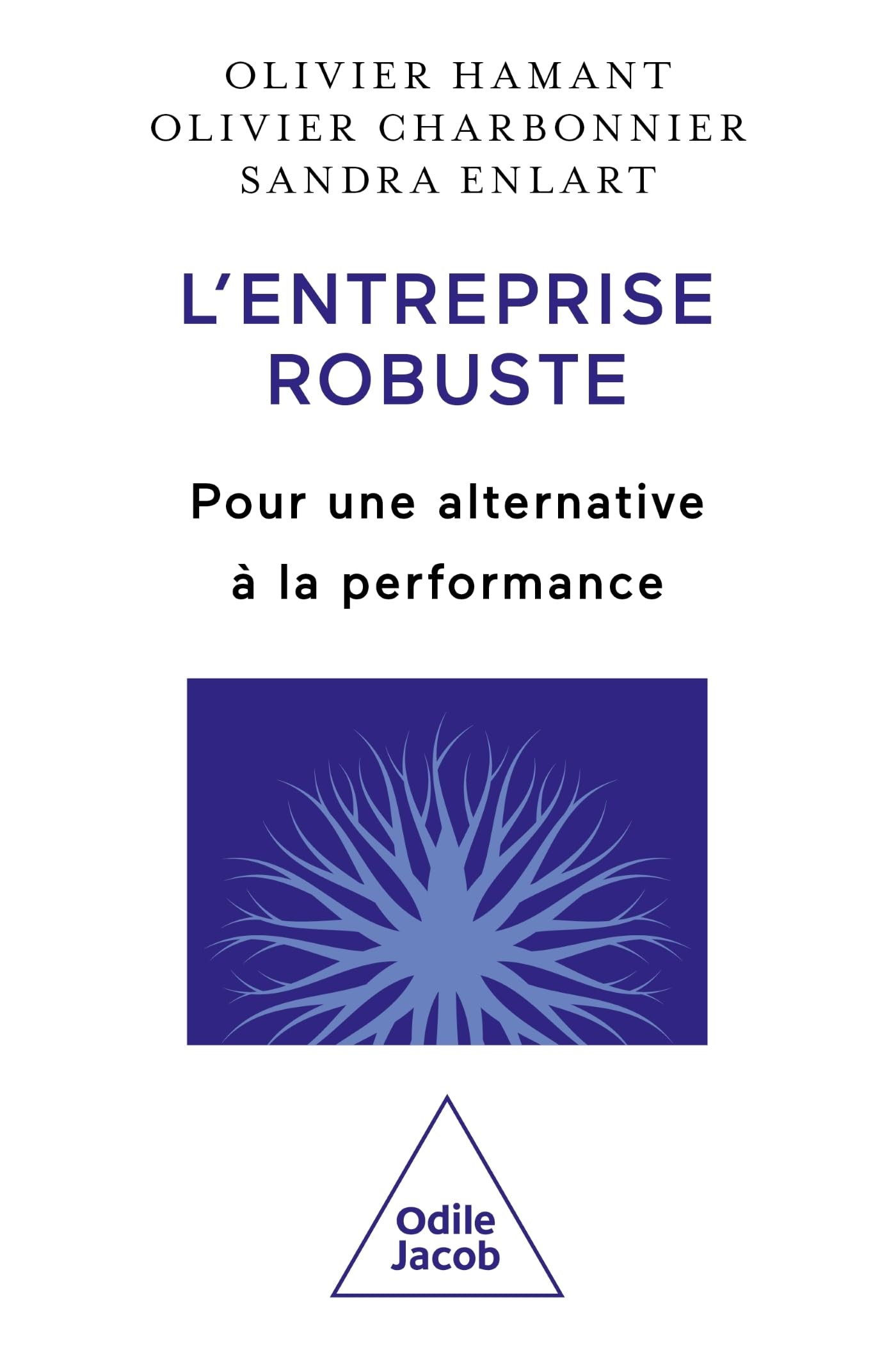 L'entreprise robuste : pour une alternative à la performance
