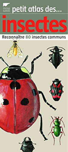 Petit atlas des insectes : reconnaître 80 insectes communs