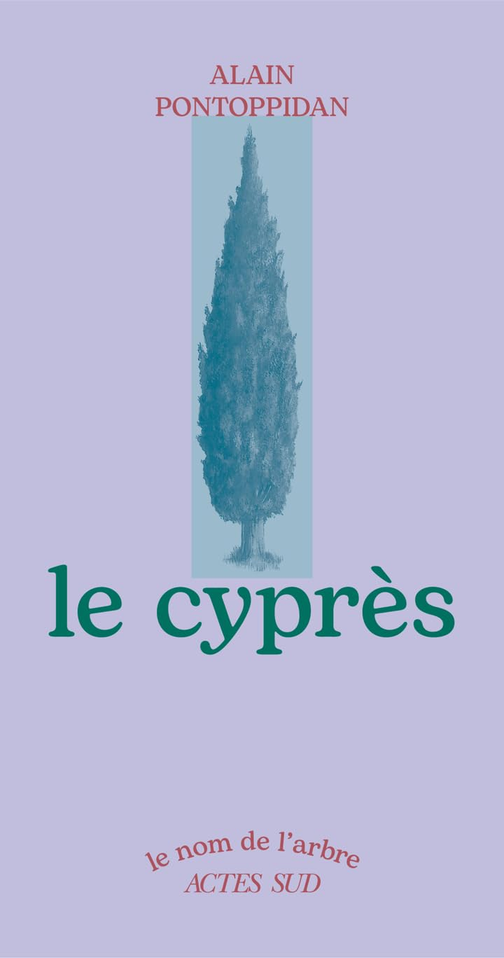 Le cyprès