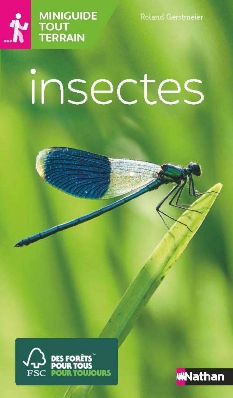 Insectes