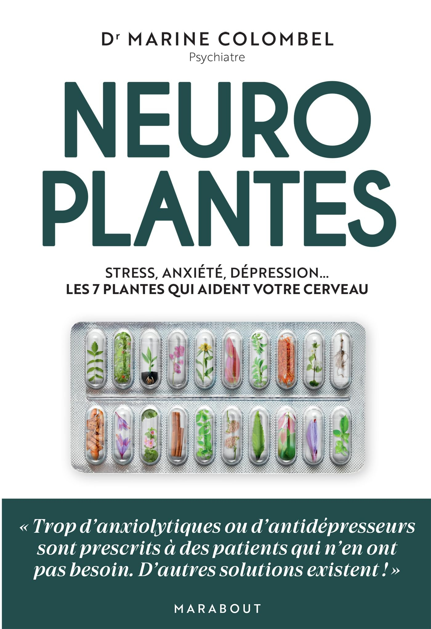 Neuroplantes : stress, anxiété, dépression...les 7 plantes qui aident votre cerveau