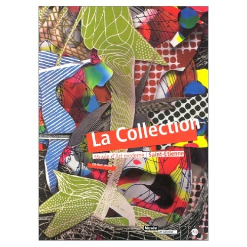La collection, Musée d'art moderne, Saint-Etienne