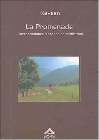 La promenade : correspondance à propos de méditation