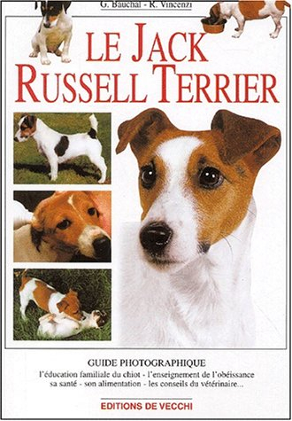 le jack russel terrier