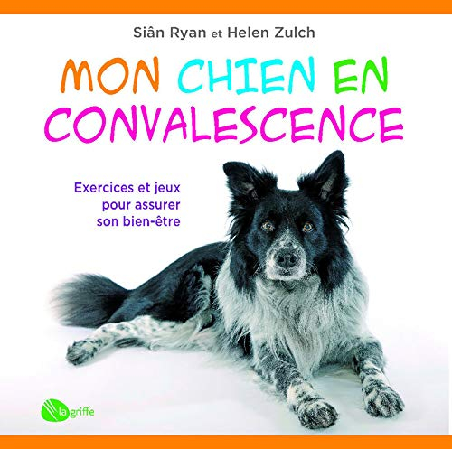 Mon chien en convalescence : exercices et jeux pour assurer son bien-être