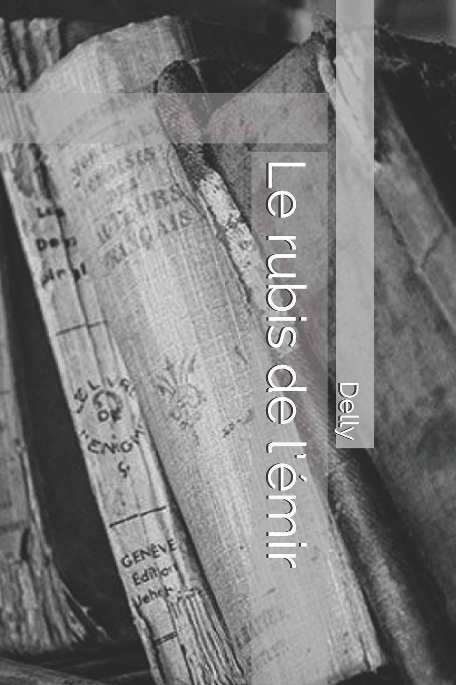 Le rubis de l’émir