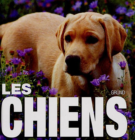 Les chiens